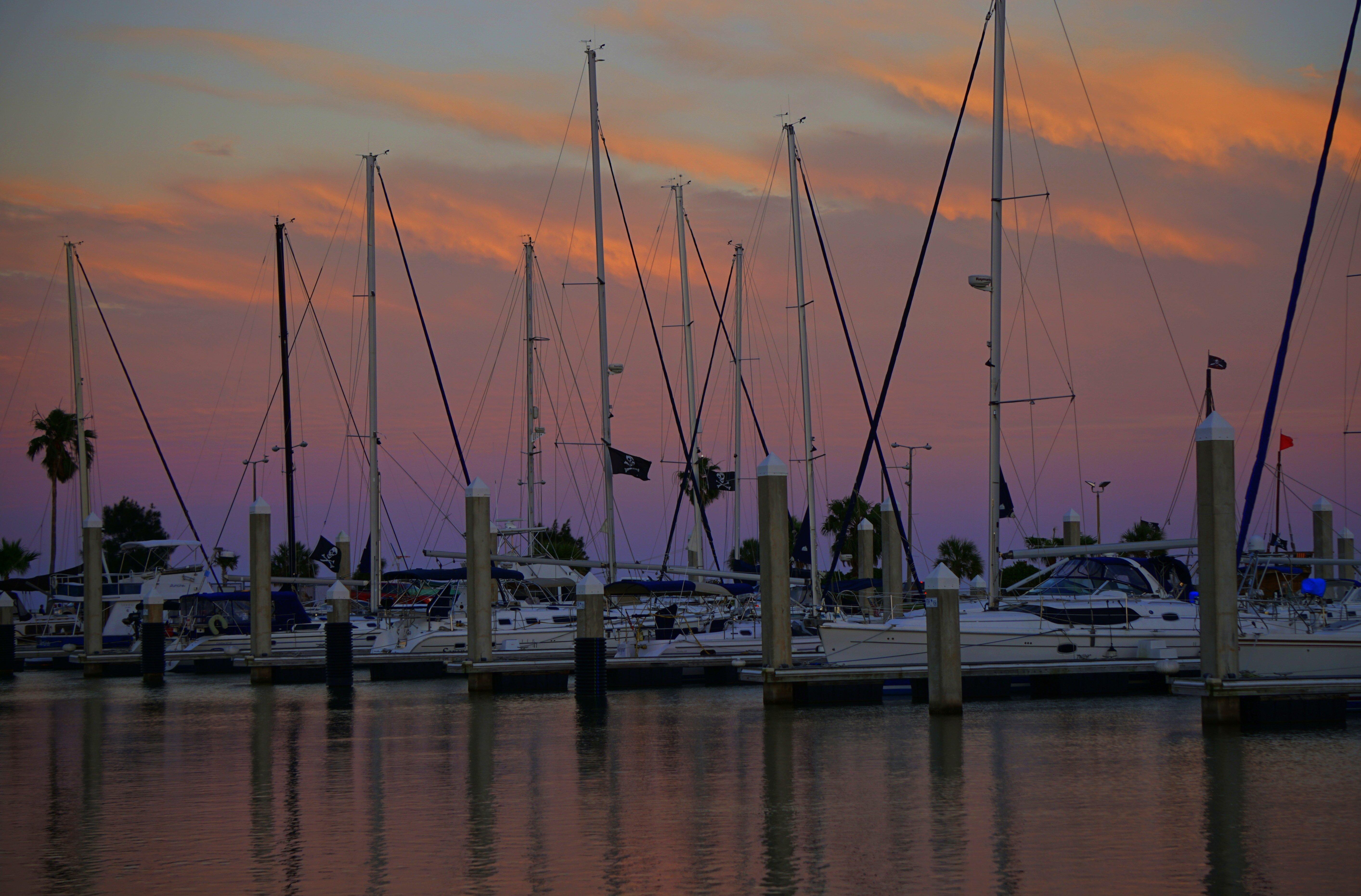 Holiday Inn Corpus Christi Downtown Marina By Ihg Ngoại thất bức ảnh