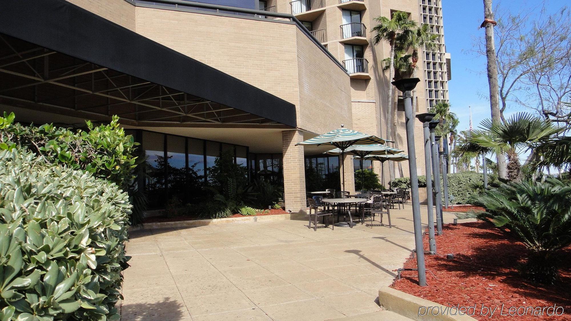 Holiday Inn Corpus Christi Downtown Marina By Ihg Ngoại thất bức ảnh